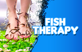Fish SPA