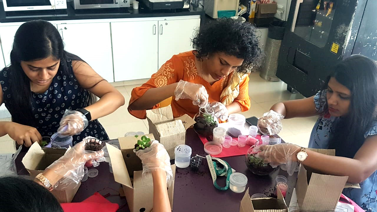 Diwali Terrarium Making-Gallery 1