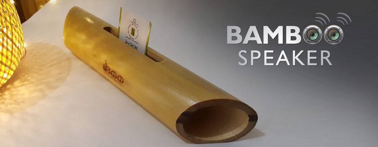 Eco friendly bamboo speaker, a perfect gift  for anyone who loves music