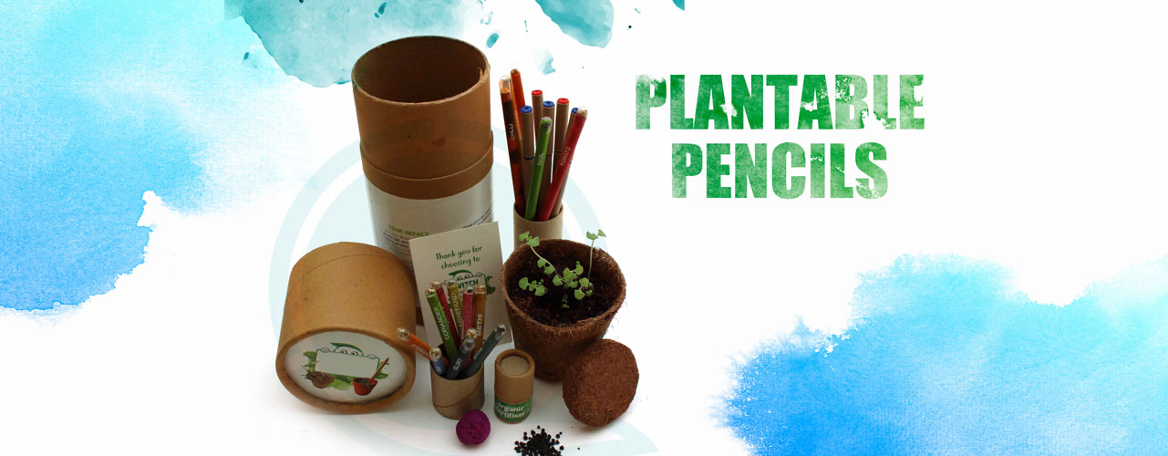 Eco-Friendly pantable pencil made from 100% recycled paper pencil that can be planted with the capsule place at end of pencil