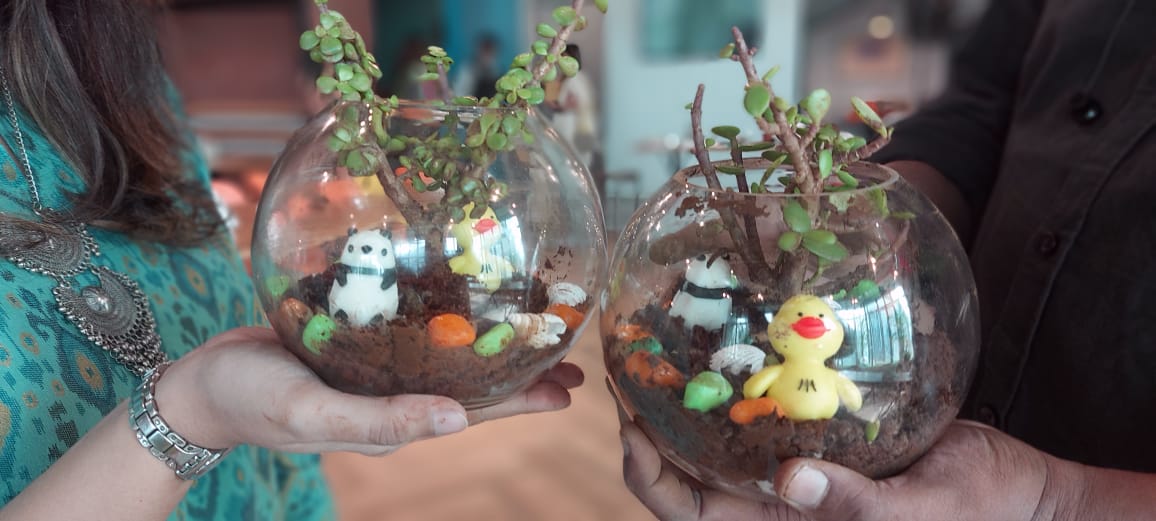 Terrarium Making 1
