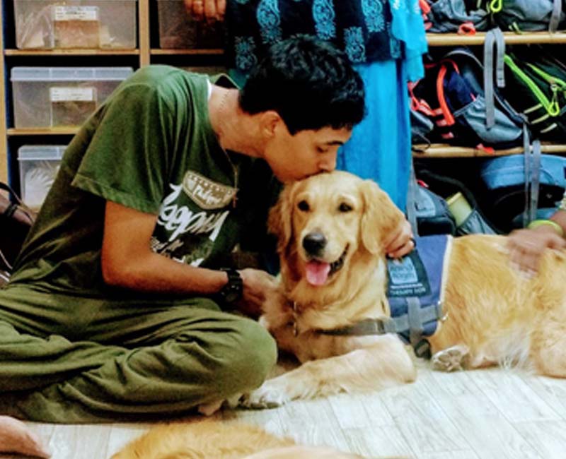 Pawsitive Buddies At Work-gallery 4