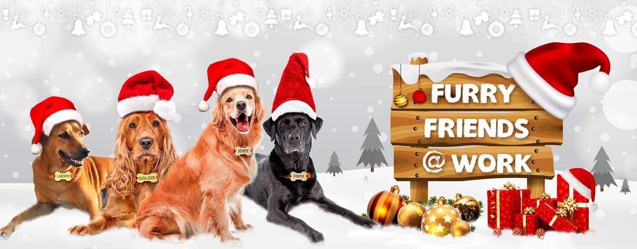 Christmas celebration - Furry friends at work