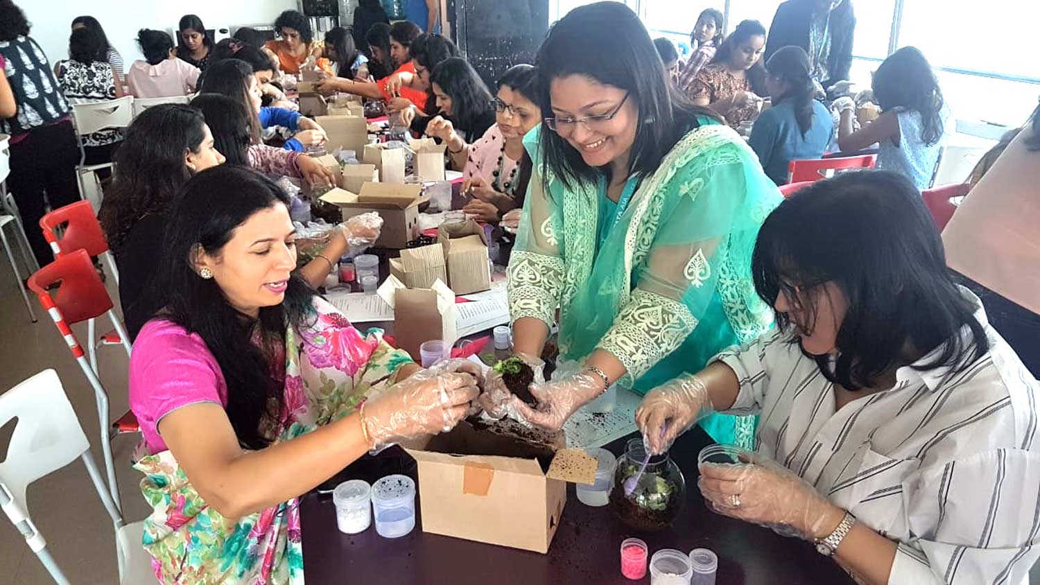 Diwali Terrarium Making-Gallery 3