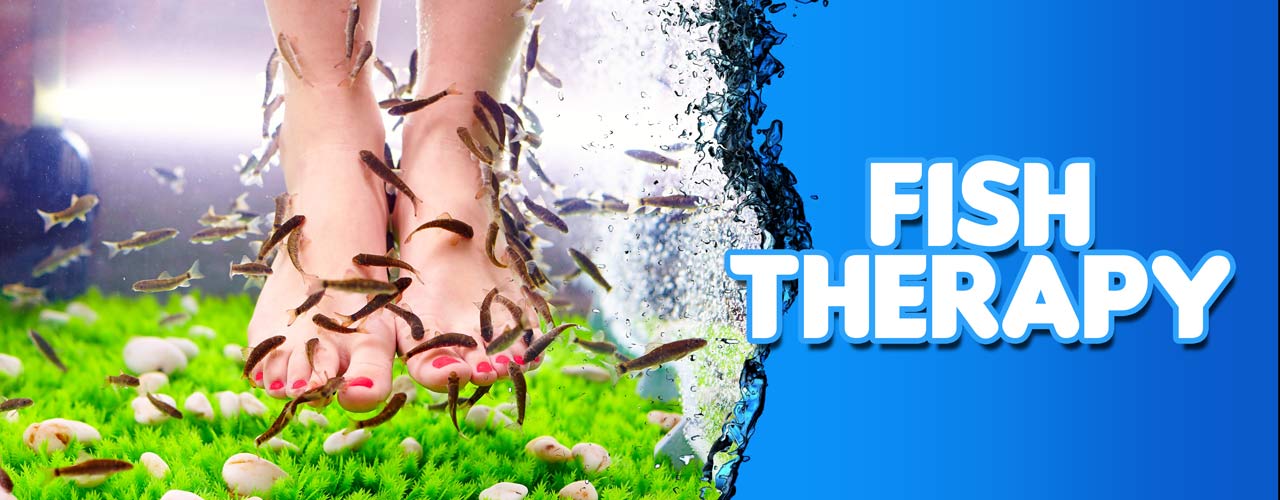 Fish spa therapy session for your employees to relieve work stress