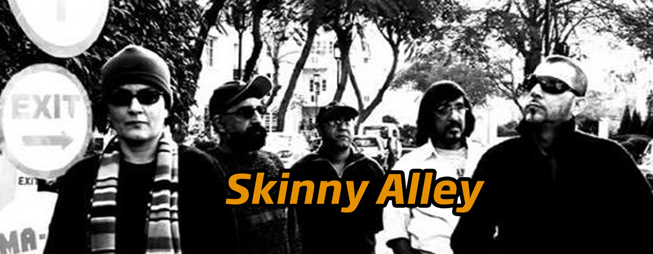 Skinny Alley Banner