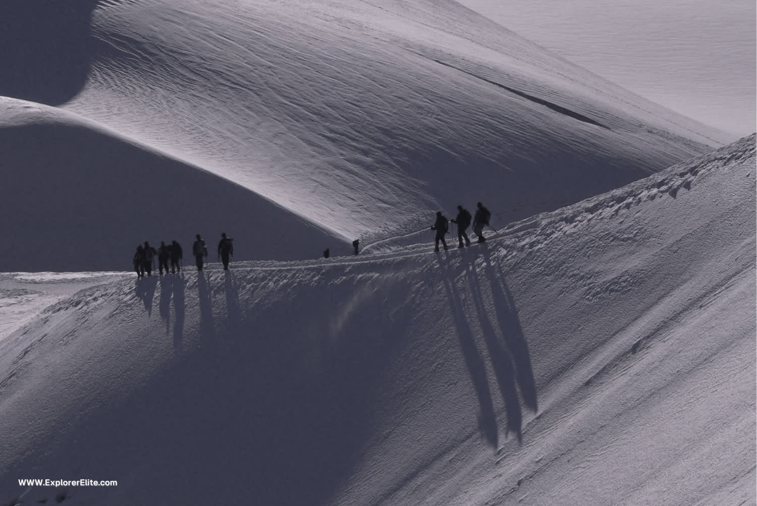 Tour Operator Software gallery image 2