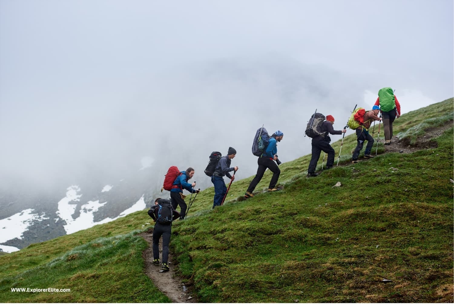 Tour Operator Software gallery image 3