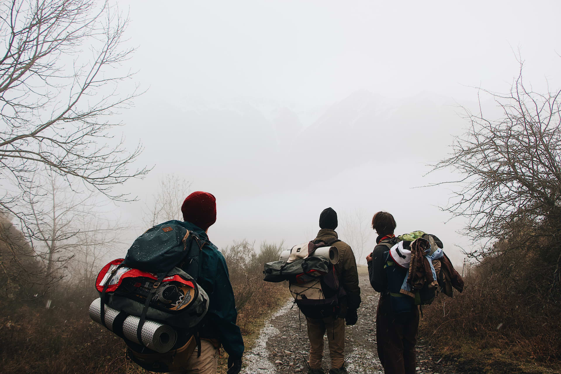 Best Multi-Day Hiking Trips for Beginners in 2026 gallery image 1