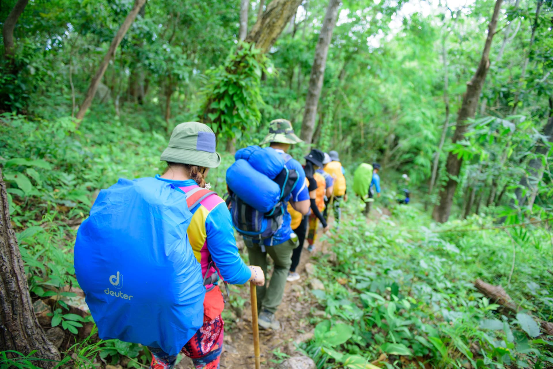 Best Multi-Day Hiking Trips for Beginners in 2026 gallery image 4