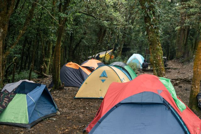 Outdoor Gear Rental gallery image 8