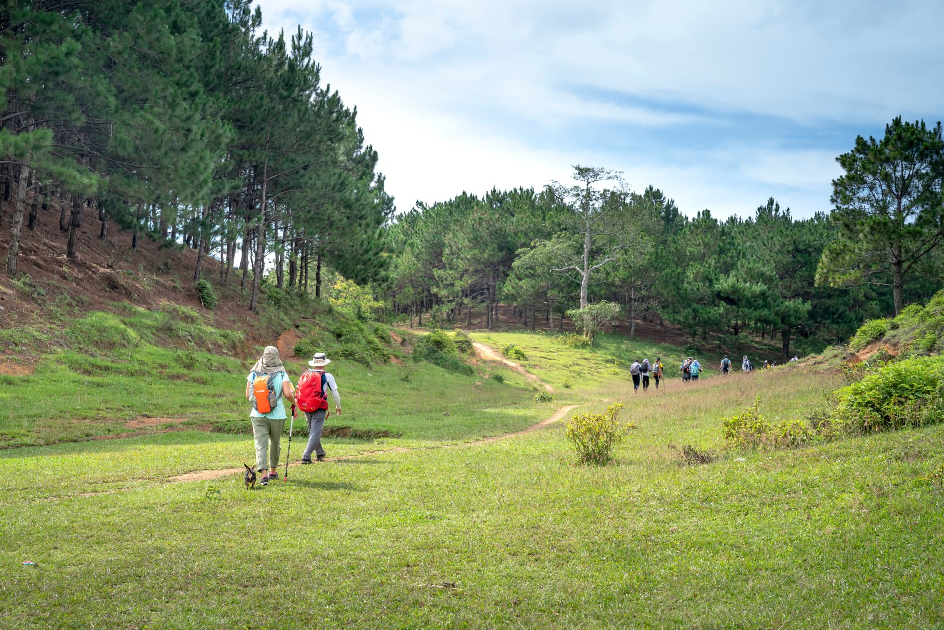 Hiking for Beginners: The Complete Starter Guide gallery image 4