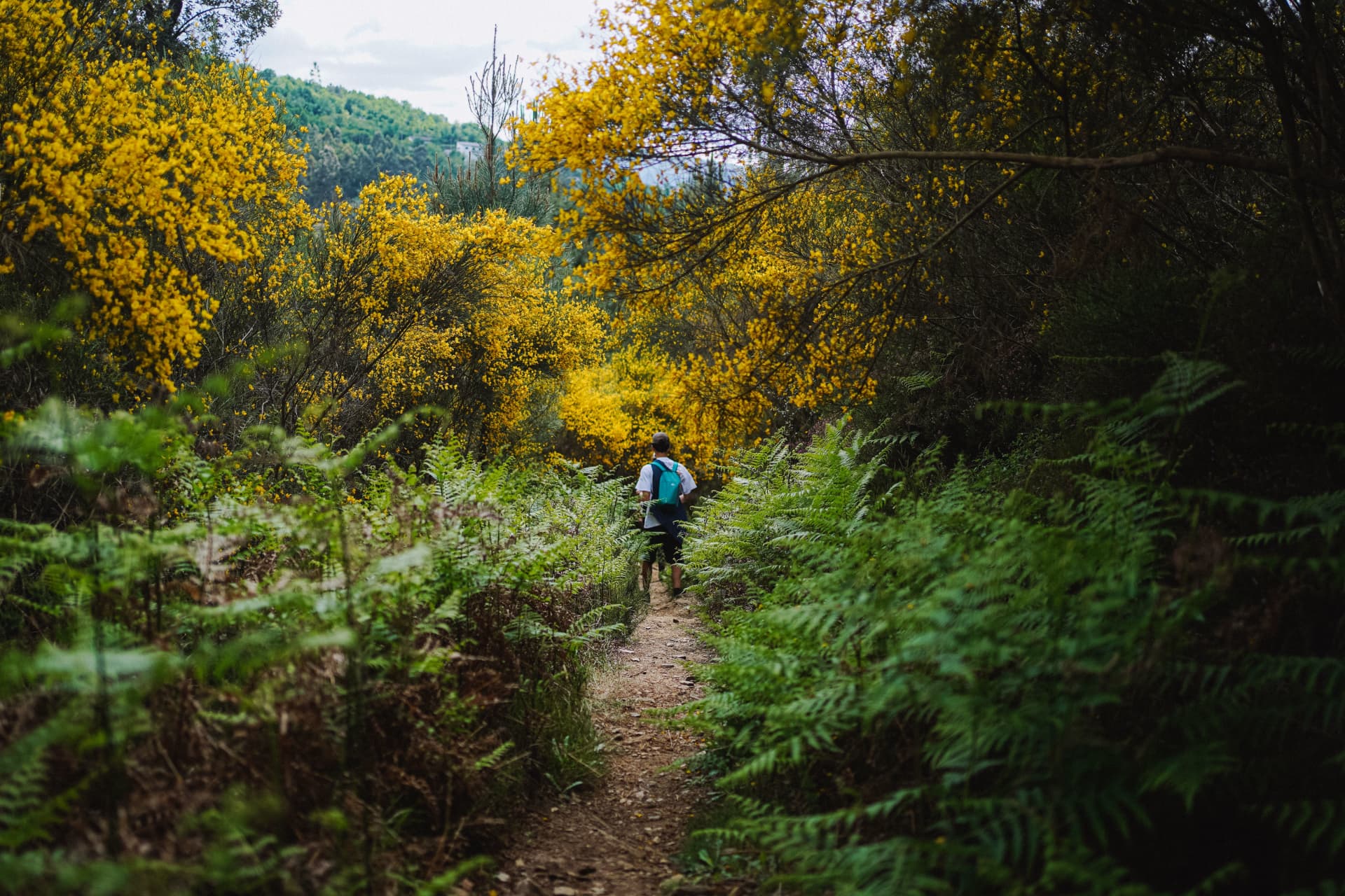 Hiking for Beginners: The Complete Starter Guide gallery image 1