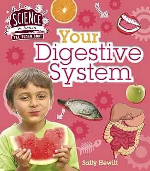 Science in Action The Human Body Your Digestive System