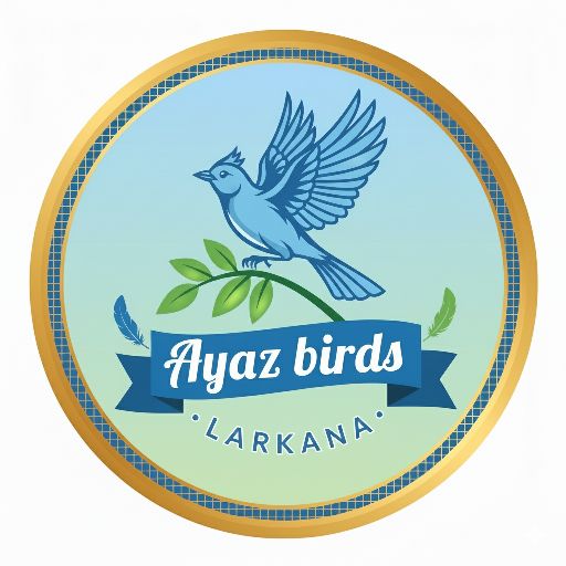 AYAZ BIRDS LARKANA