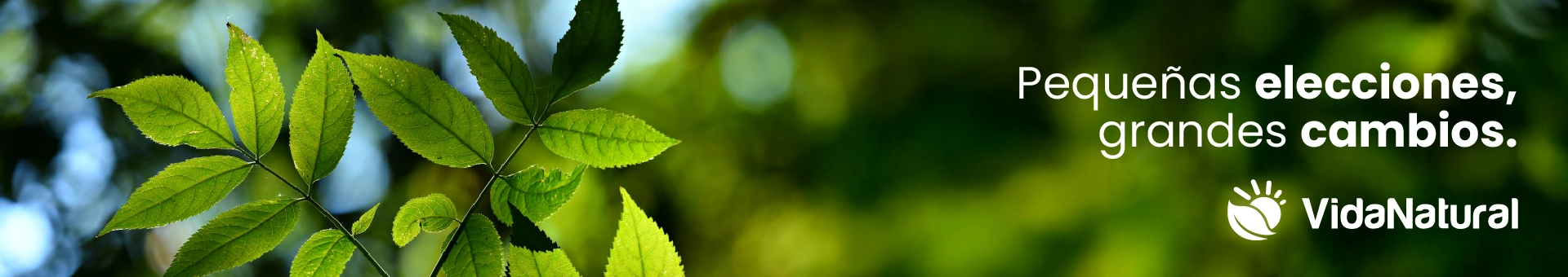 Banner de productos