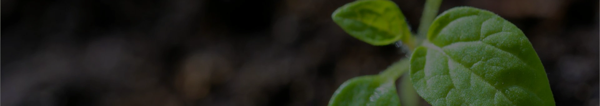 Banner de Políticas de Privacidad