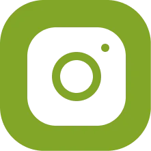 Instagram icon