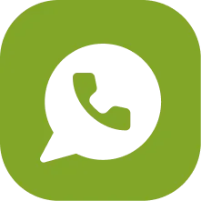 WhatsApp icon