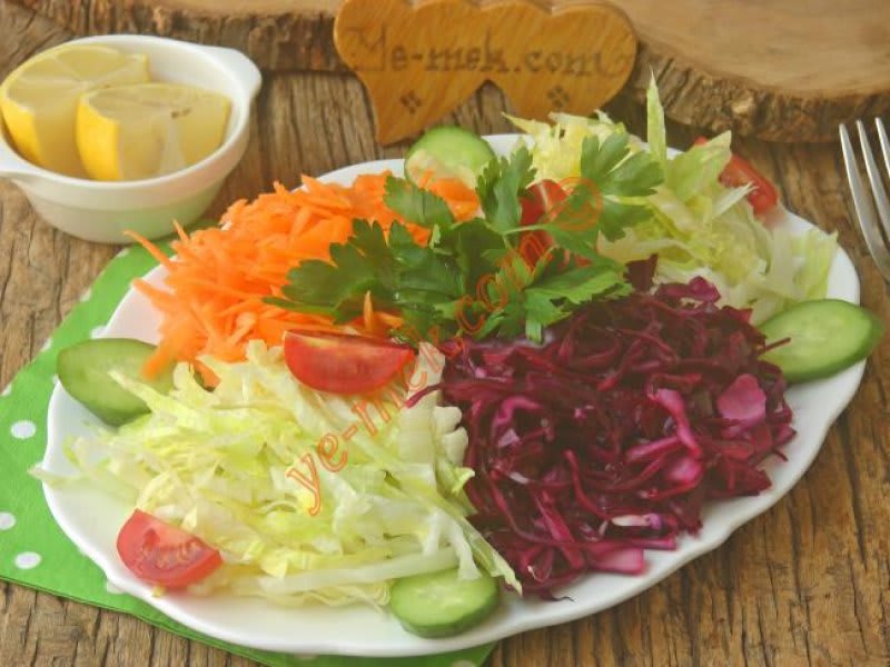 MEVSİM SALATASI