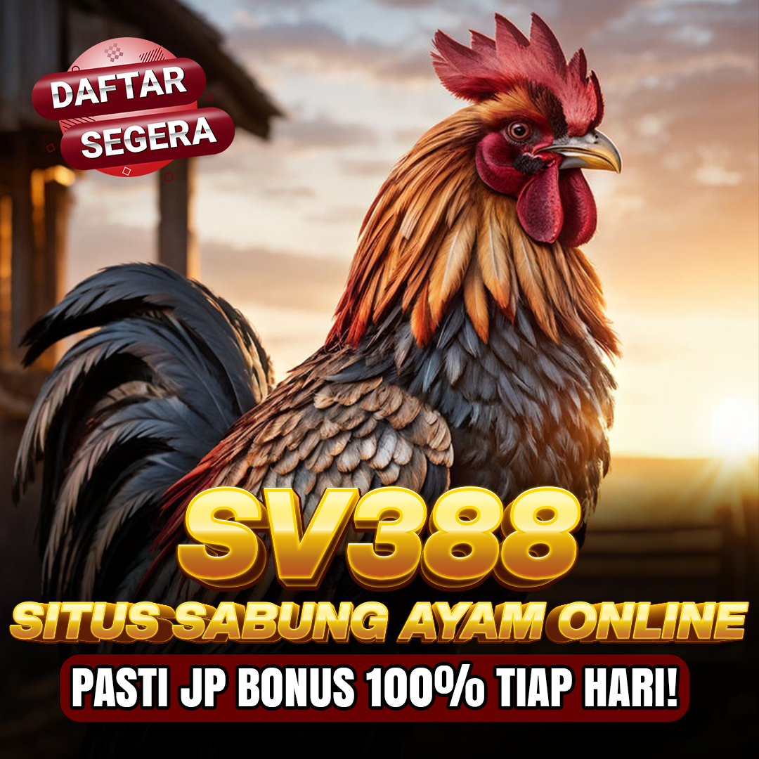 SV388: Login Link Sabung Ayam Online Wala Meron Tayangan Real Time