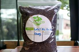 Uziza Seeds (Whole) 100g