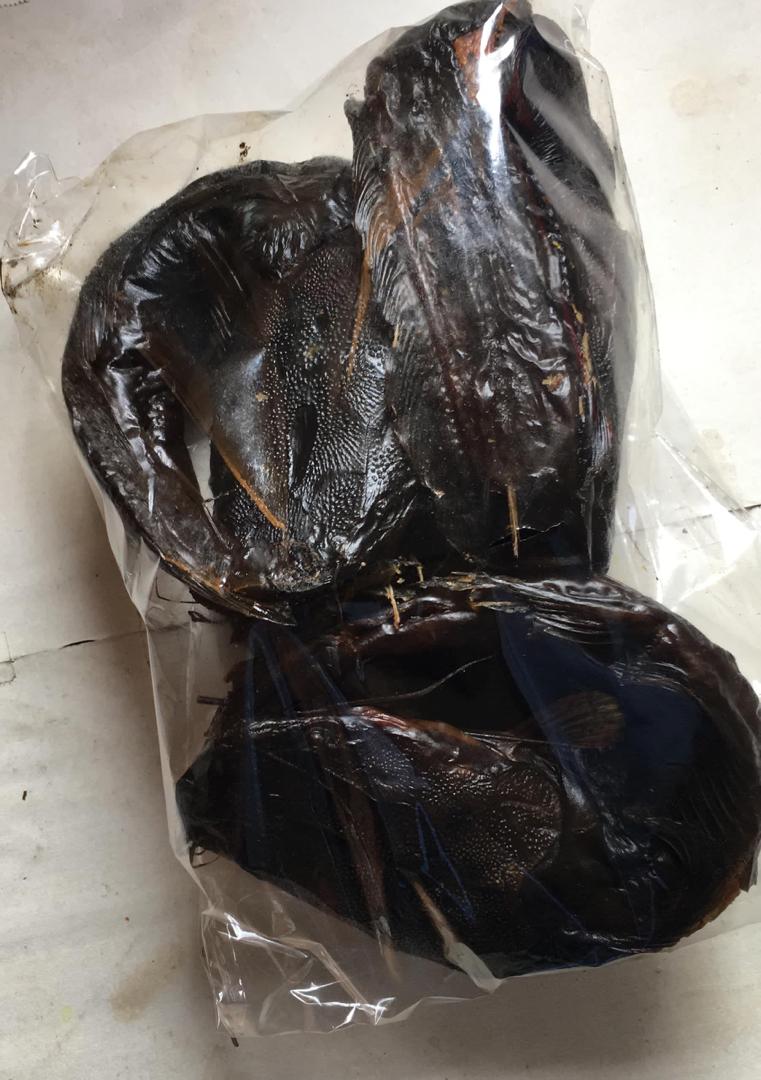 Smoked Catfish (Whole - Dehydrated)