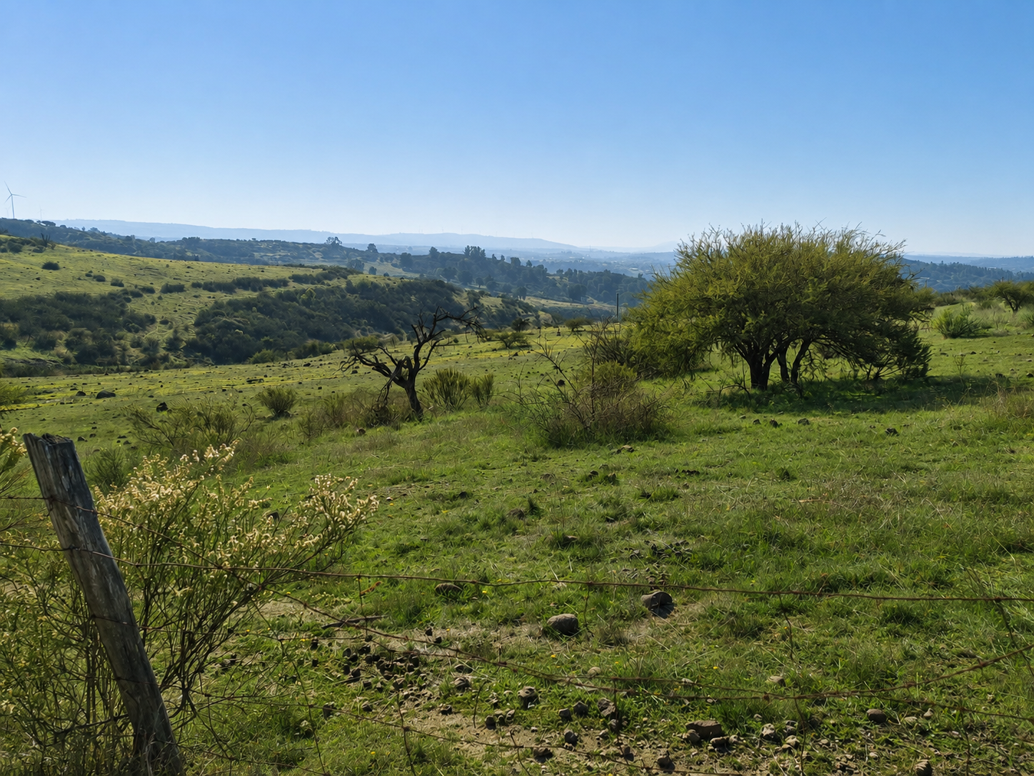 Hacienda don Danilo