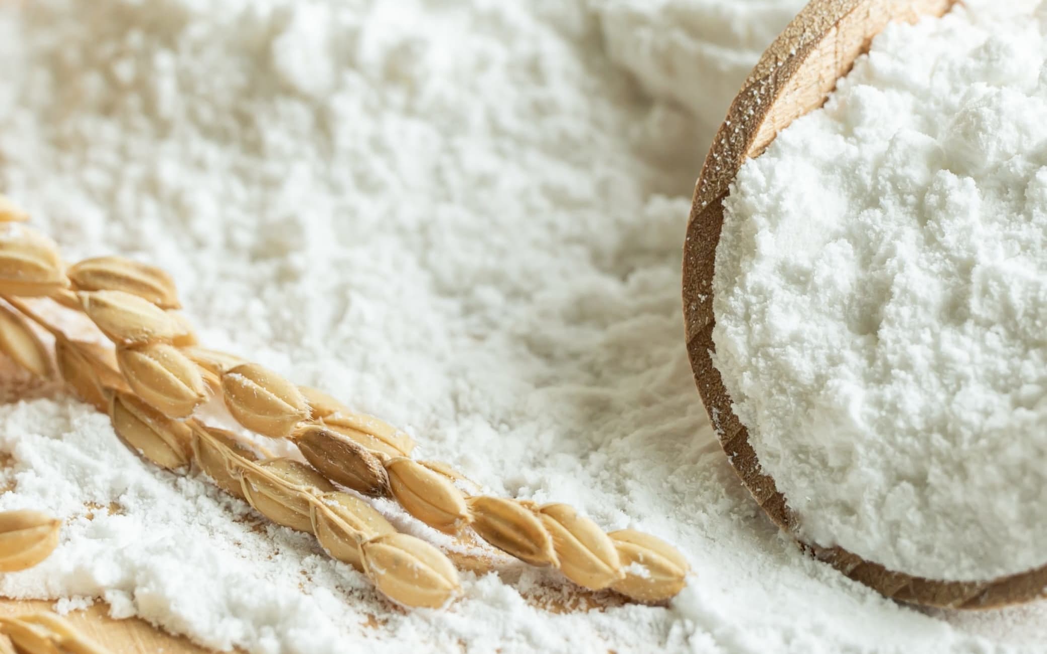 Testartikkel - se oppskrift