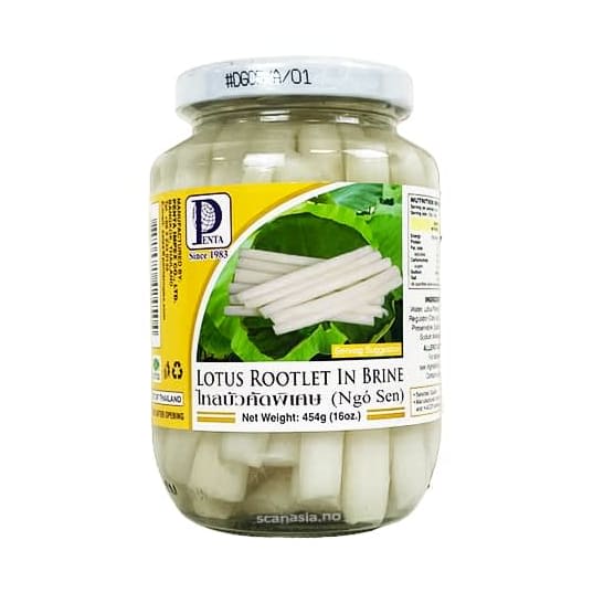 PENTA Lotus Rootlets In Brine 24x454g