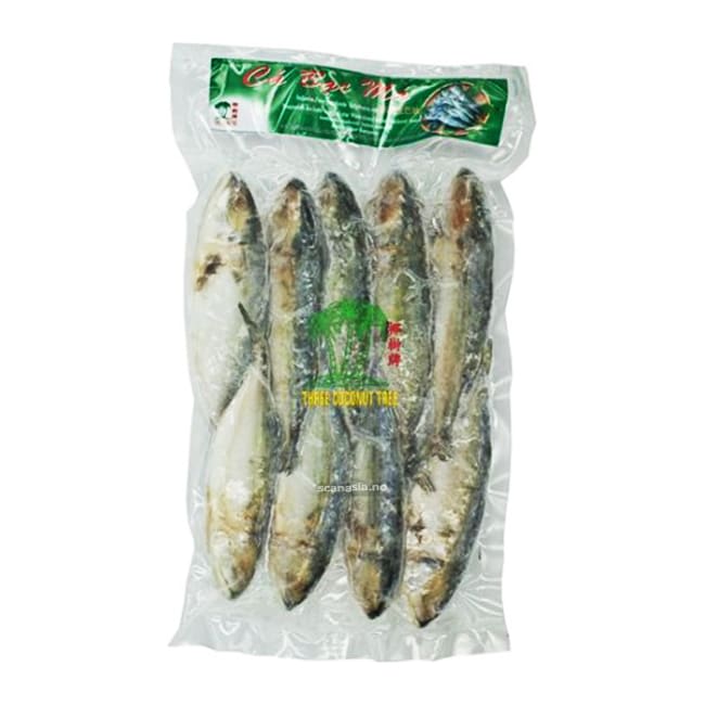 TCT Indian Mackerel Whole Cleaned 10x1kg FROZEN