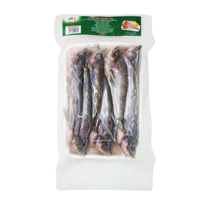 TCT Sheatfish 20x500g FROZEN