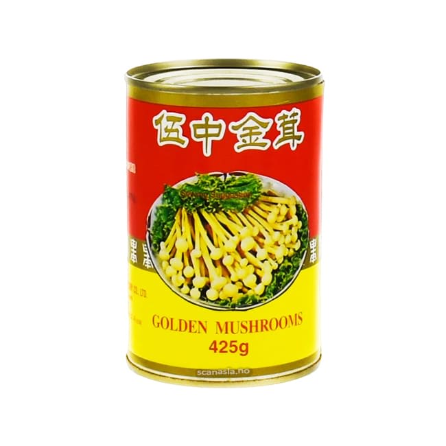WU CHUNG Golden Mushroom 24x425g