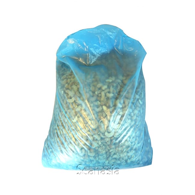 Cashew Nuts Salt Ristede 10kg