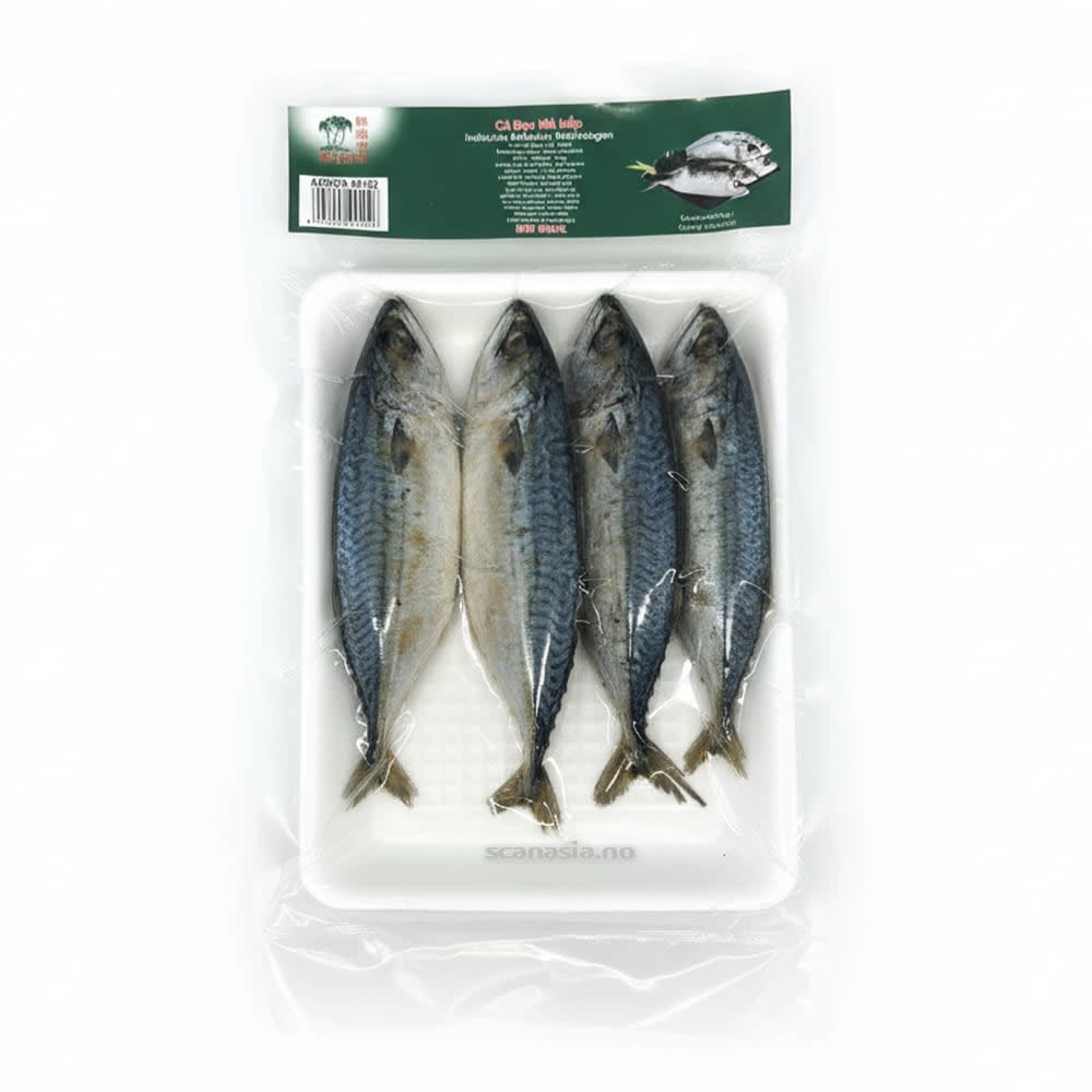 TCT Indian Makerel Steamed 20x400g FROZEN