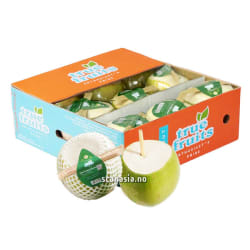GREEN SKIN Fresh Young Coconut 9pcs/box