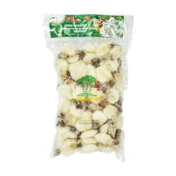 TCT Baby Sepia 60/80 Whole Cleaned 10 X1KG FROZEN