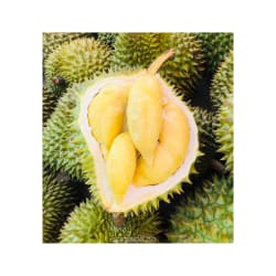 RI 6 Whole Durian 1x12kg FROZEN