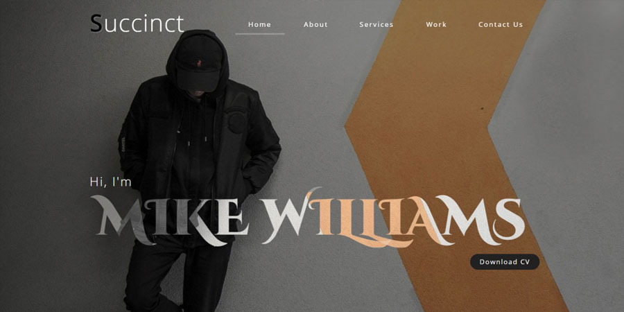 Succinct a Personal Category Bootstrap Responsive Web Template