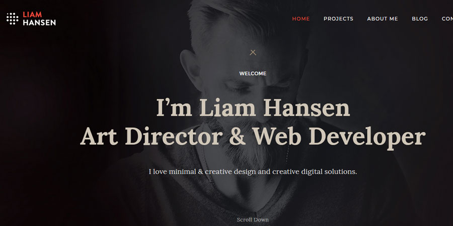 Liam Hansen Creative Freelancers Agency WordPress Theme
