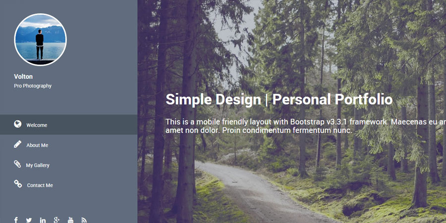TM 441 Volton Portfolio Template