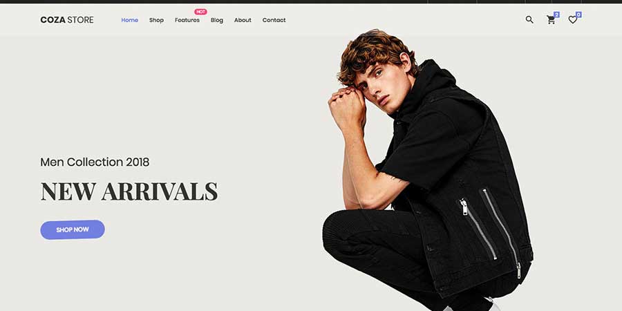 Coza Store Website Template