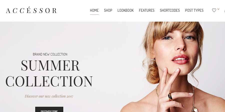 Accessories Shop Shopping WordPress Theme