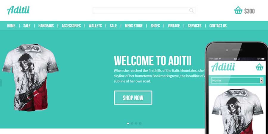 Aditii ECommerce Responsive Web Template