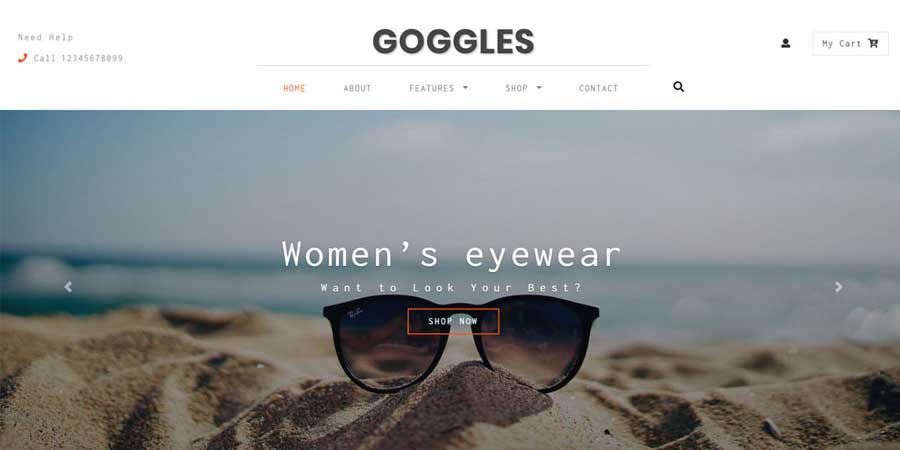 Goggles Ecommerce  Web Template