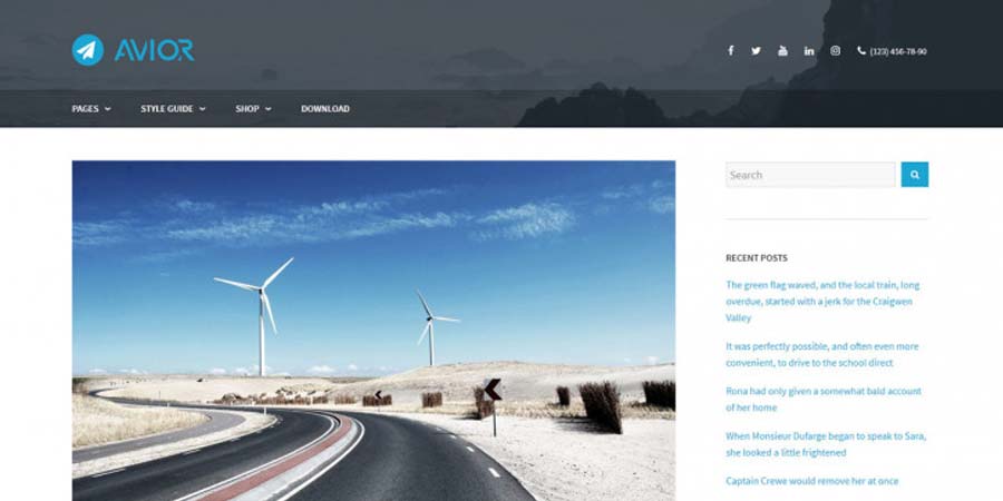 Avior WordPress Blogging Theme