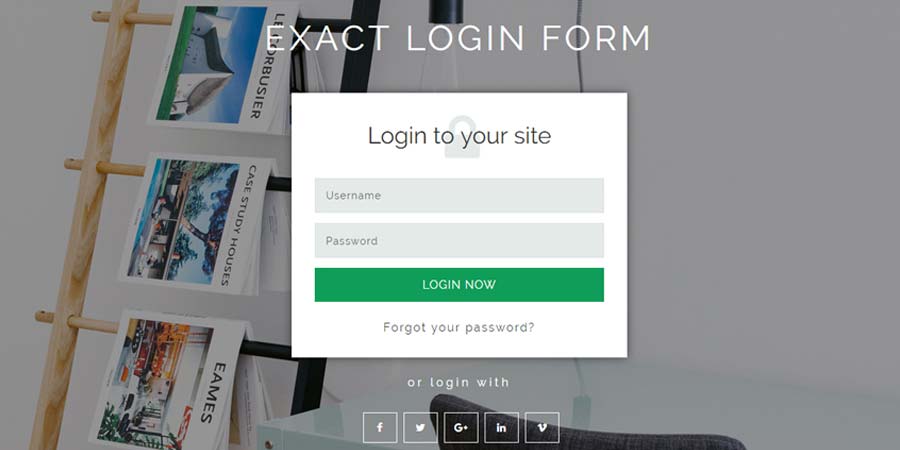 Exact Login Form