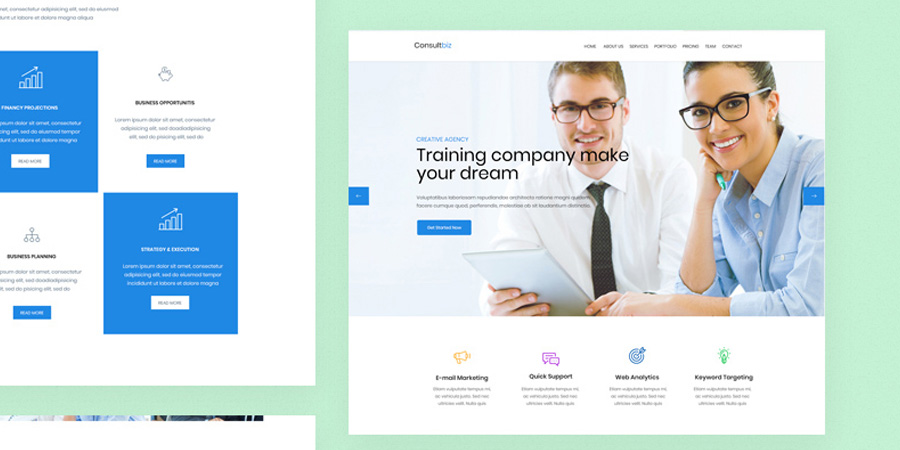 ConsultBiz PSD Website Template