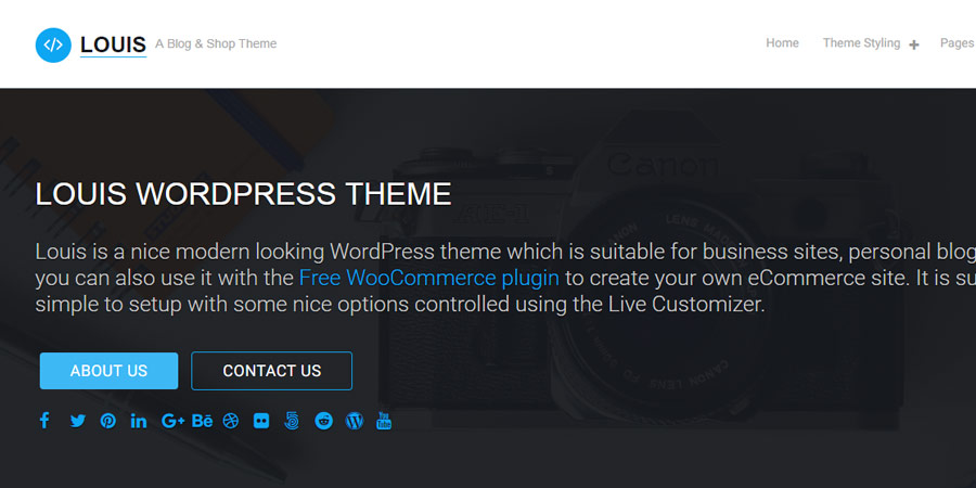 Louis WordPress Theme