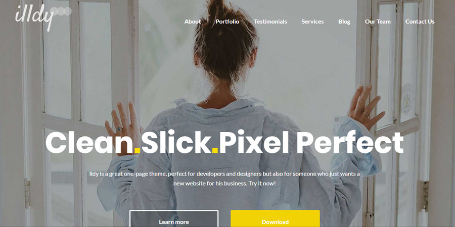 Illdy – Free One Page WordPress Business Theme